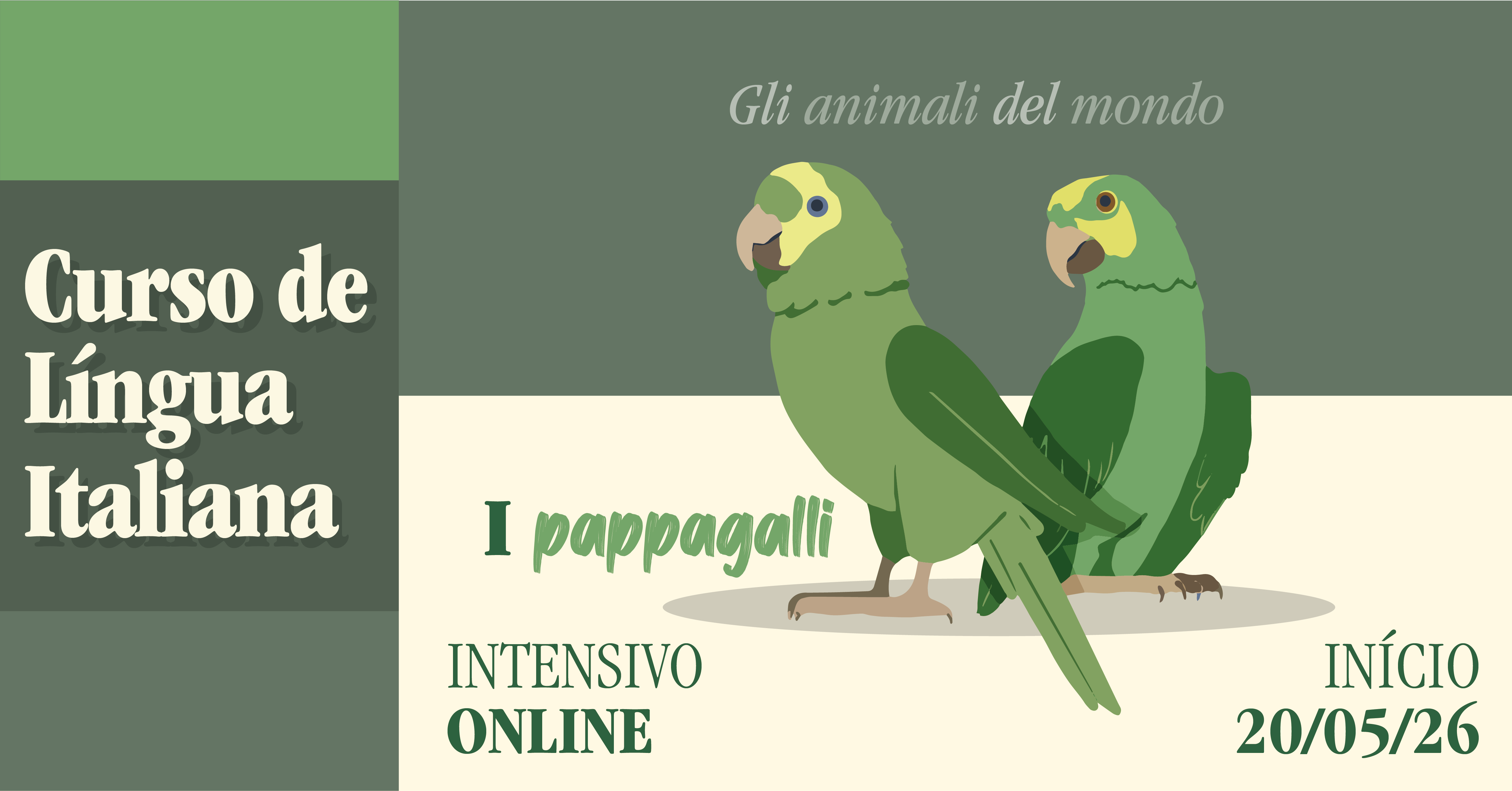 Cursos online com matrículas abertas para 2026!